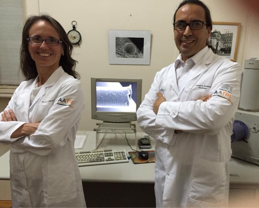 Tricología Aplicada para Peluquería de Avanzada (Modalidad a Distancia)