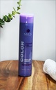 Color Care Shampoo